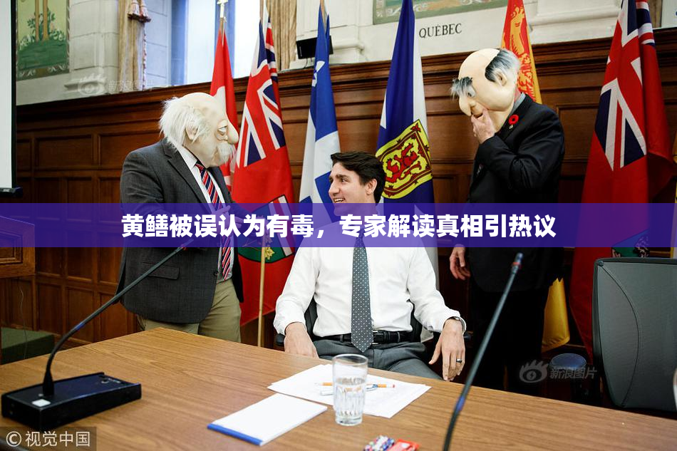 黄鳝被误认为有毒，专家解读真相引热议