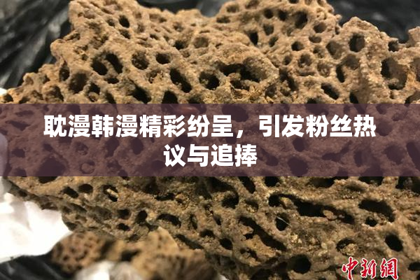 耽漫韩漫精彩纷呈，引发粉丝热议与追捧