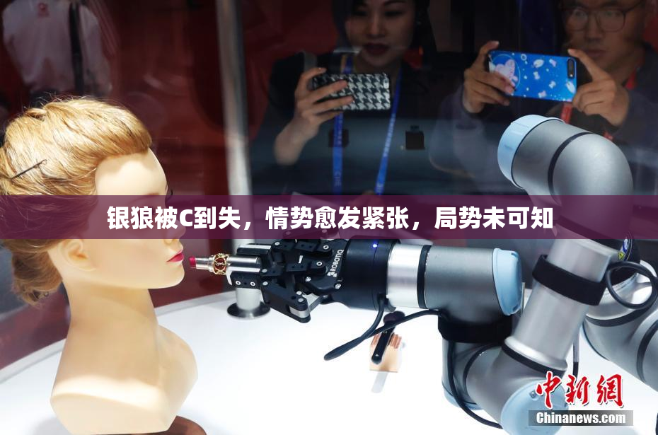 银狼被C到失，情势愈发紧张，局势未可知