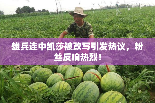 雄兵连中凯莎被改写引发热议，粉丝反响热烈！
