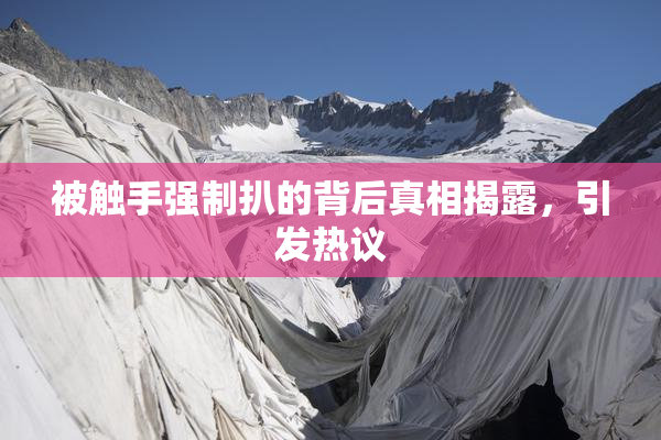 被触手强制扒的背后真相揭露，引发热议