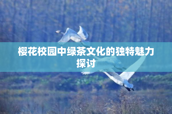 樱花校园中绿茶文化的独特魅力探讨