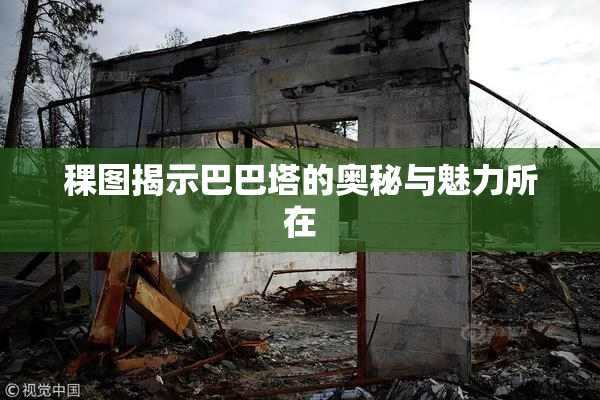稞图揭示巴巴塔的奥秘与魅力所在