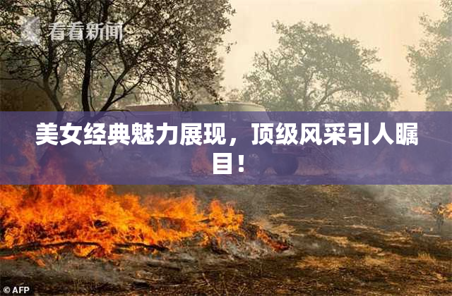 美女经典魅力展现，顶级风采引人瞩目！
