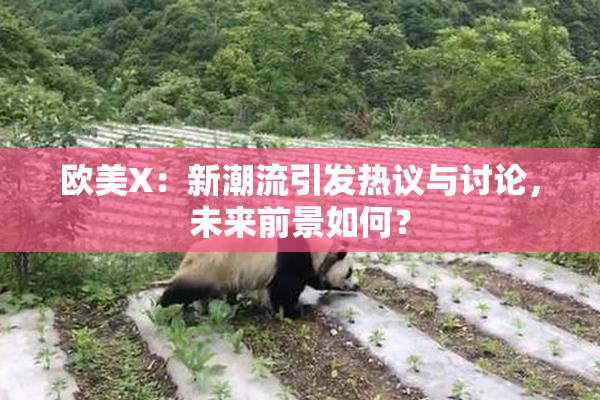 欧美X：新潮流引发热议与讨论，未来前景如何？