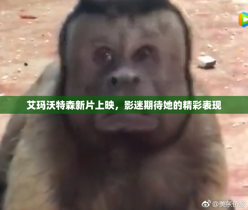 艾玛沃特森新片上映，影迷期待她的精彩表现