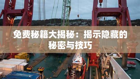 免费秘籍大揭秘：揭示隐藏的秘密与技巧