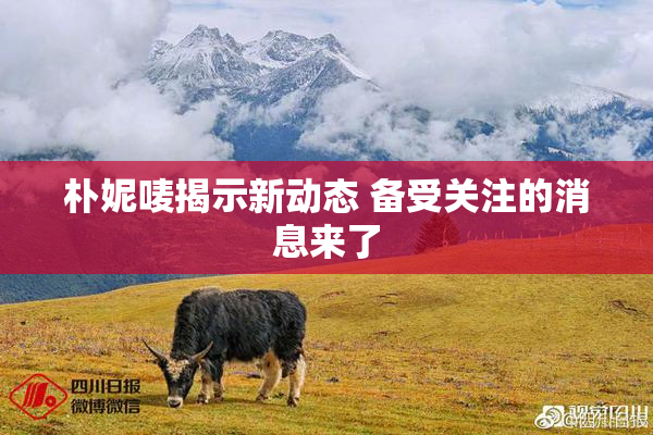 朴妮唛揭示新动态 备受关注的消息来了