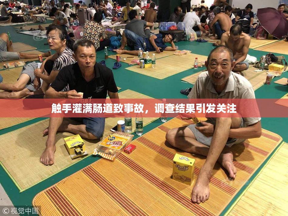 触手灌满肠道致事故，调查结果引发关注