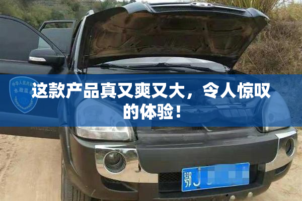 这款产品真又爽又大，令人惊叹的体验！