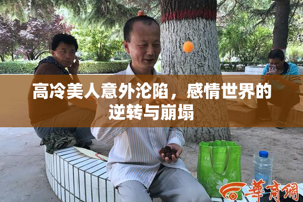 高冷美人意外沦陷，感情世界的逆转与崩塌