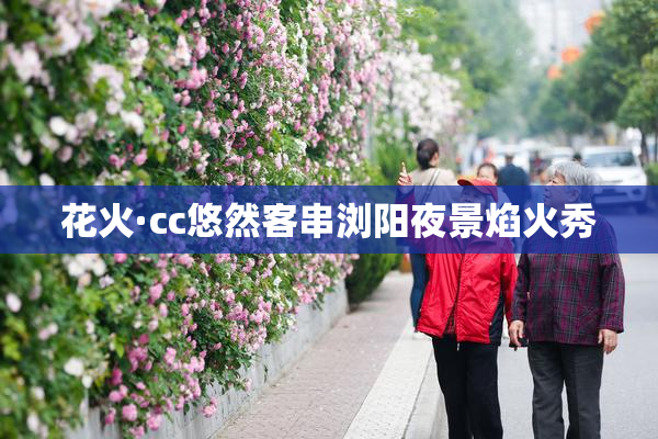 花火·cc悠然客串浏阳夜景焰火秀