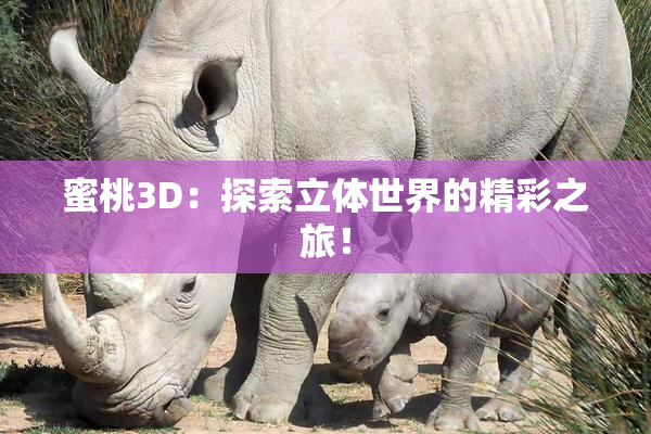 蜜桃3D：探索立体世界的精彩之旅！