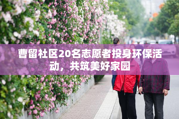 曹留社区20名志愿者投身环保活动，共筑美好家园