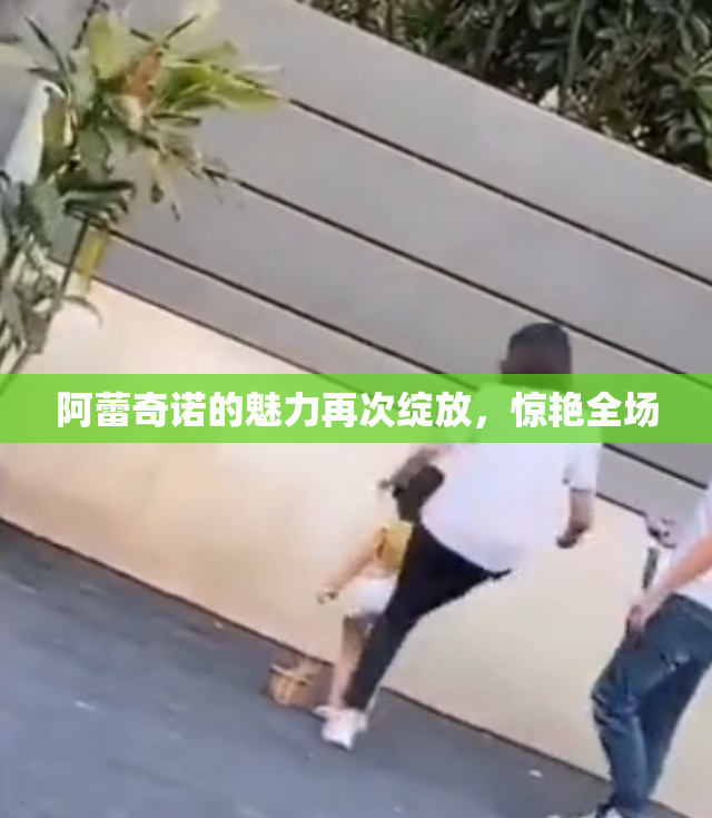 阿蕾奇诺的魅力再次绽放，惊艳全场