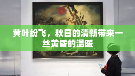 黄叶纷飞，秋日的清新带来一丝黄昏的温暖