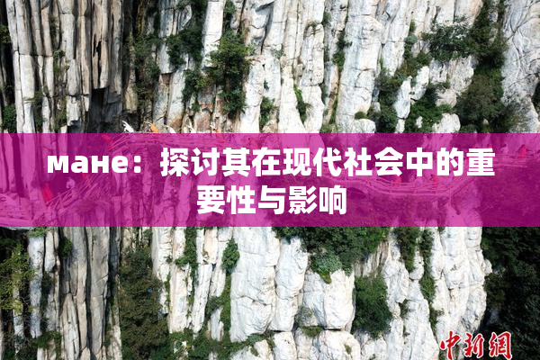 мане：探讨其在现代社会中的重要性与影响