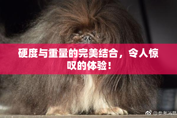 硬度与重量的完美结合，令人惊叹的体验！