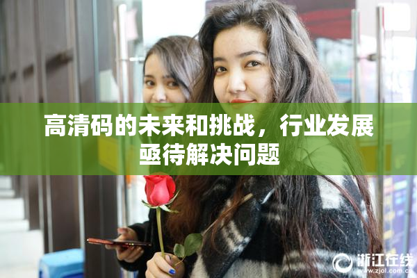 高清码的未来和挑战，行业发展亟待解决问题