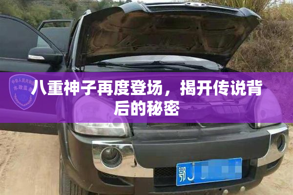 八重神子再度登场，揭开传说背后的秘密