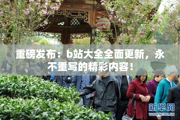 重磅发布：b站大全全面更新，永不重写的精彩内容！