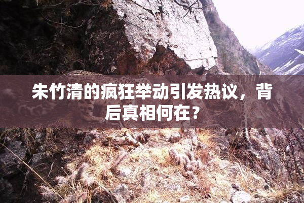 朱竹清的疯狂举动引发热议，背后真相何在？