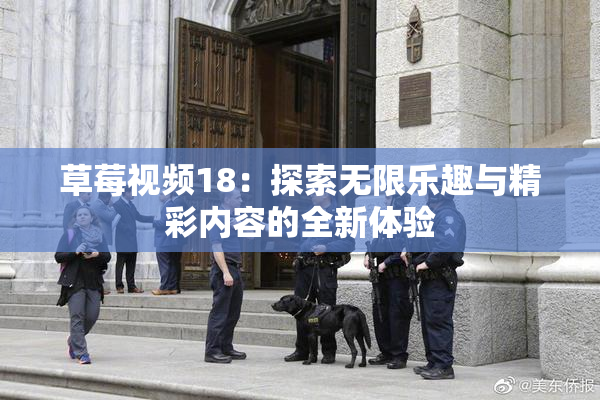草莓视频18：探索无限乐趣与精彩内容的全新体验