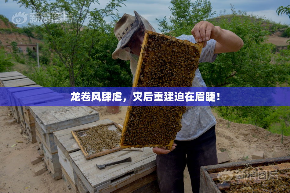龙卷风肆虐，灾后重建迫在眉睫！