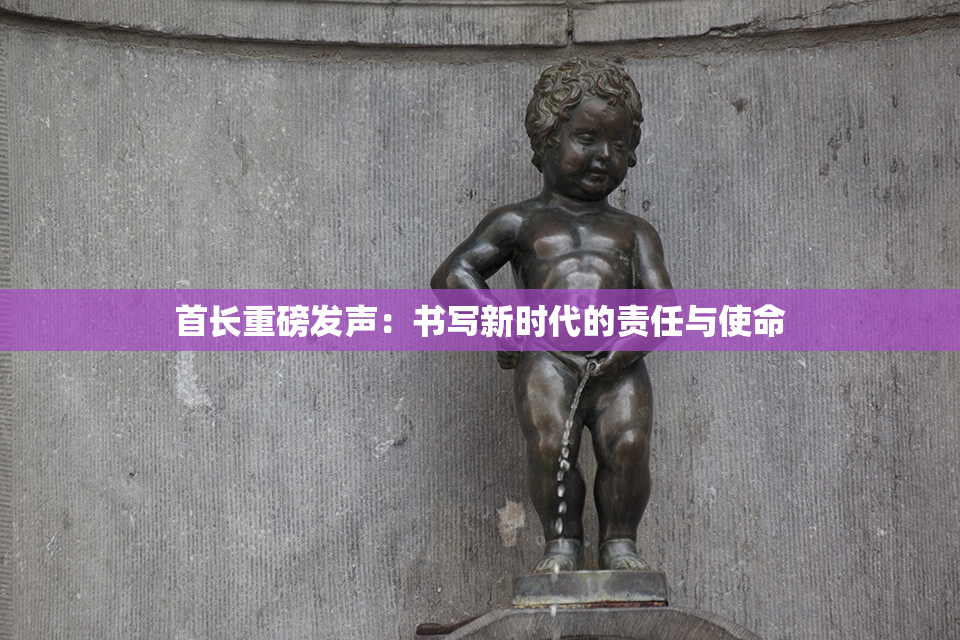首长重磅发声：书写新时代的责任与使命