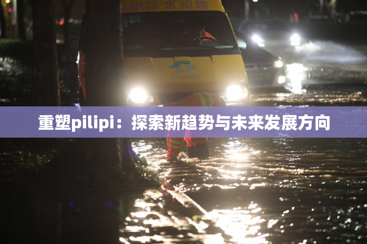 重塑pilipi：探索新趋势与未来发展方向