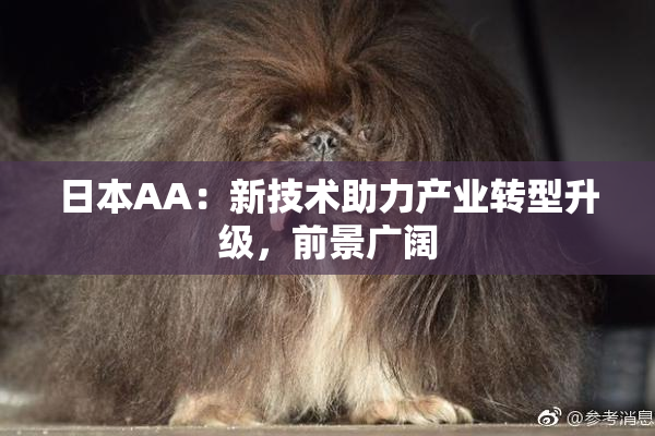 日本AA：新技术助力产业转型升级，前景广阔