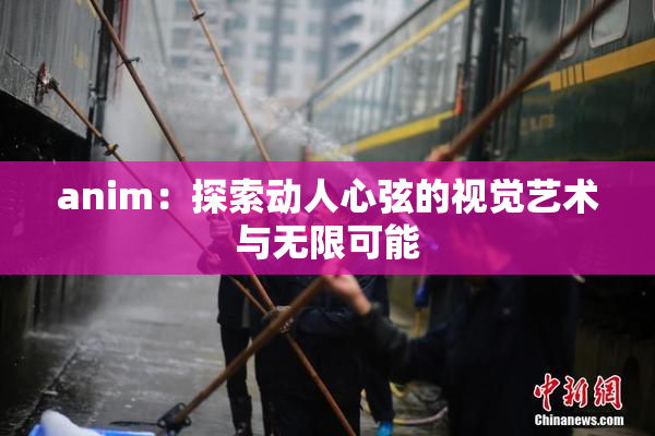 anim：探索动人心弦的视觉艺术与无限可能