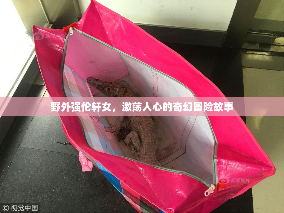 野外强伦轩女，激荡人心的奇幻冒险故事
