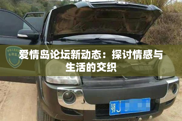 爱情岛论坛新动态：探讨情感与生活的交织