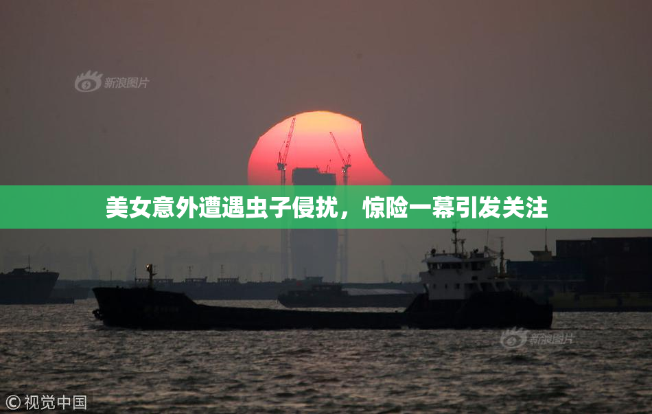 美女意外遭遇虫子侵扰，惊险一幕引发关注