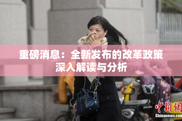 重磅消息：全新发布的改革政策深入解读与分析