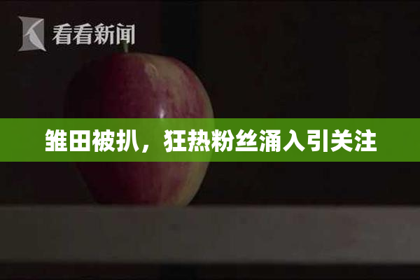 雏田被扒，狂热粉丝涌入引关注