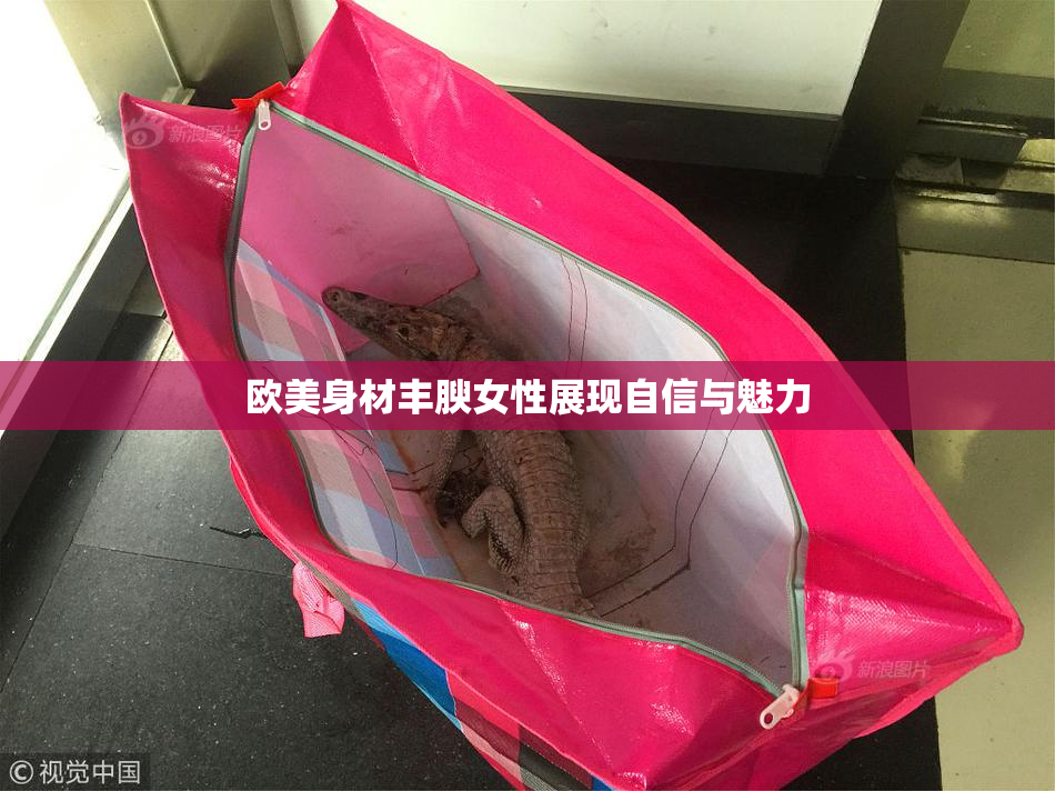欧美身材丰腴女性展现自信与魅力