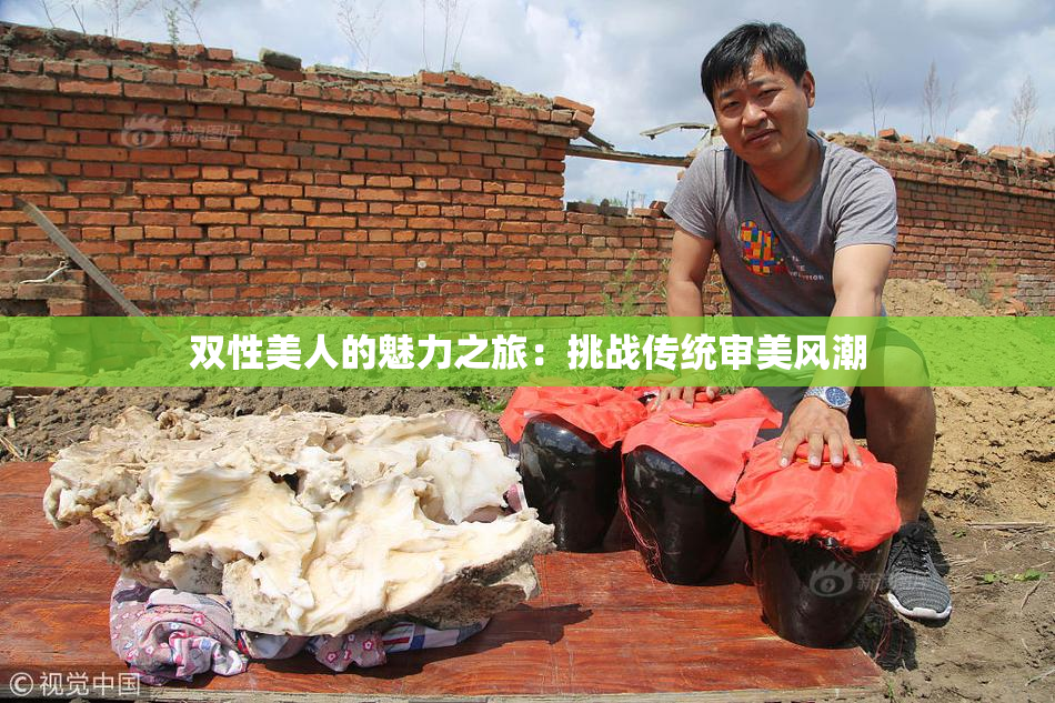 双性美人的魅力之旅：挑战传统审美风潮