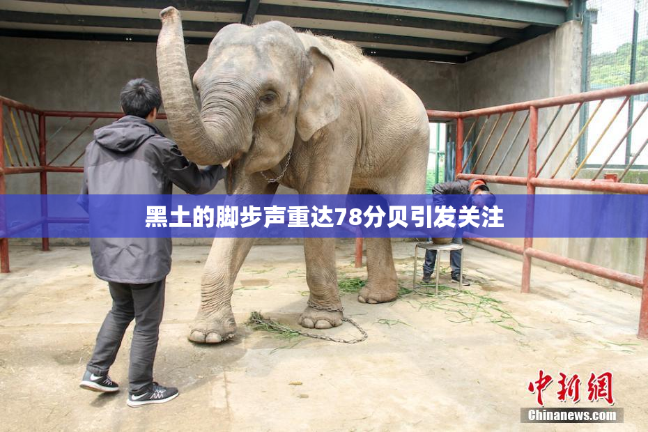黑土的脚步声重达78分贝引发关注