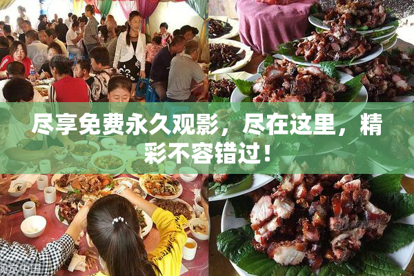 尽享免费永久观影，尽在这里，精彩不容错过！