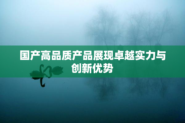 国产高品质产品展现卓越实力与创新优势