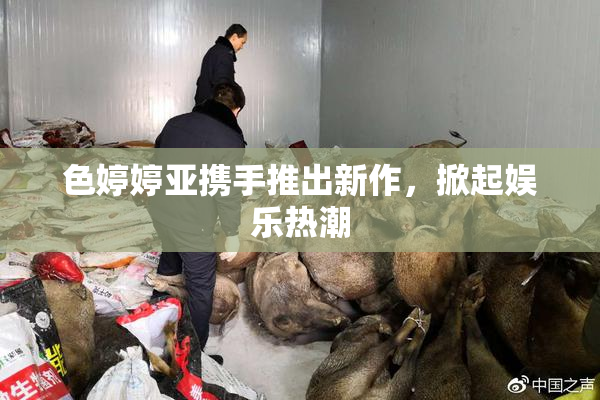 色婷婷亚携手推出新作，掀起娱乐热潮