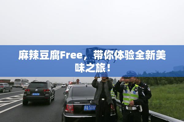 麻辣豆腐Free，带你体验全新美味之旅！