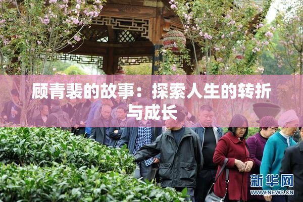 顾青裴的故事：探索人生的转折与成长