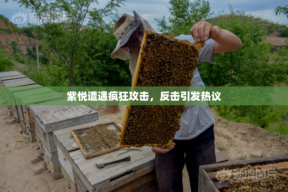 紫悦遭遇疯狂攻击，反击引发热议