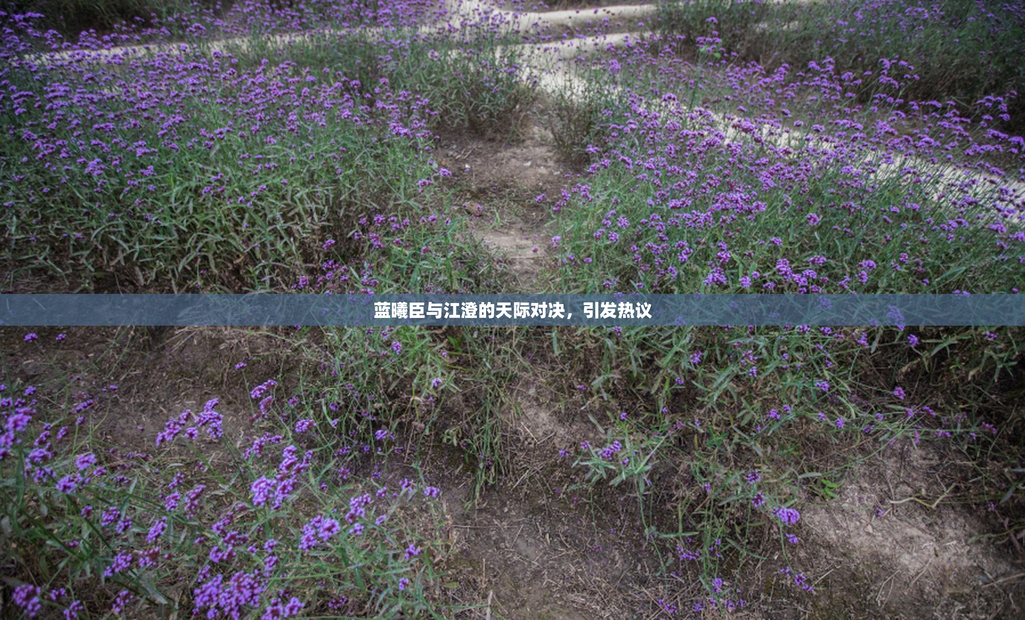 蓝曦臣与江澄的天际对决，引发热议