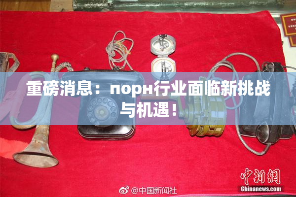 重磅消息：порн行业面临新挑战与机遇！