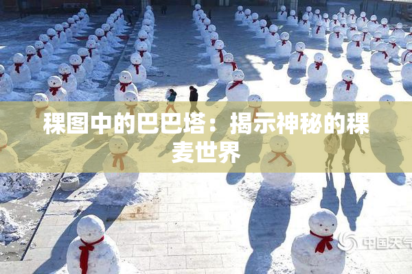 稞图中的巴巴塔：揭示神秘的稞麦世界