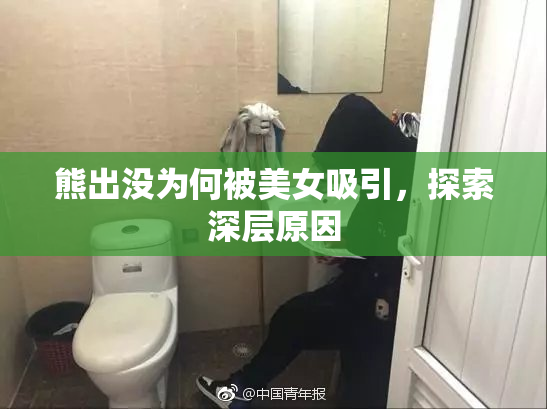 熊出没为何被美女吸引，探索深层原因